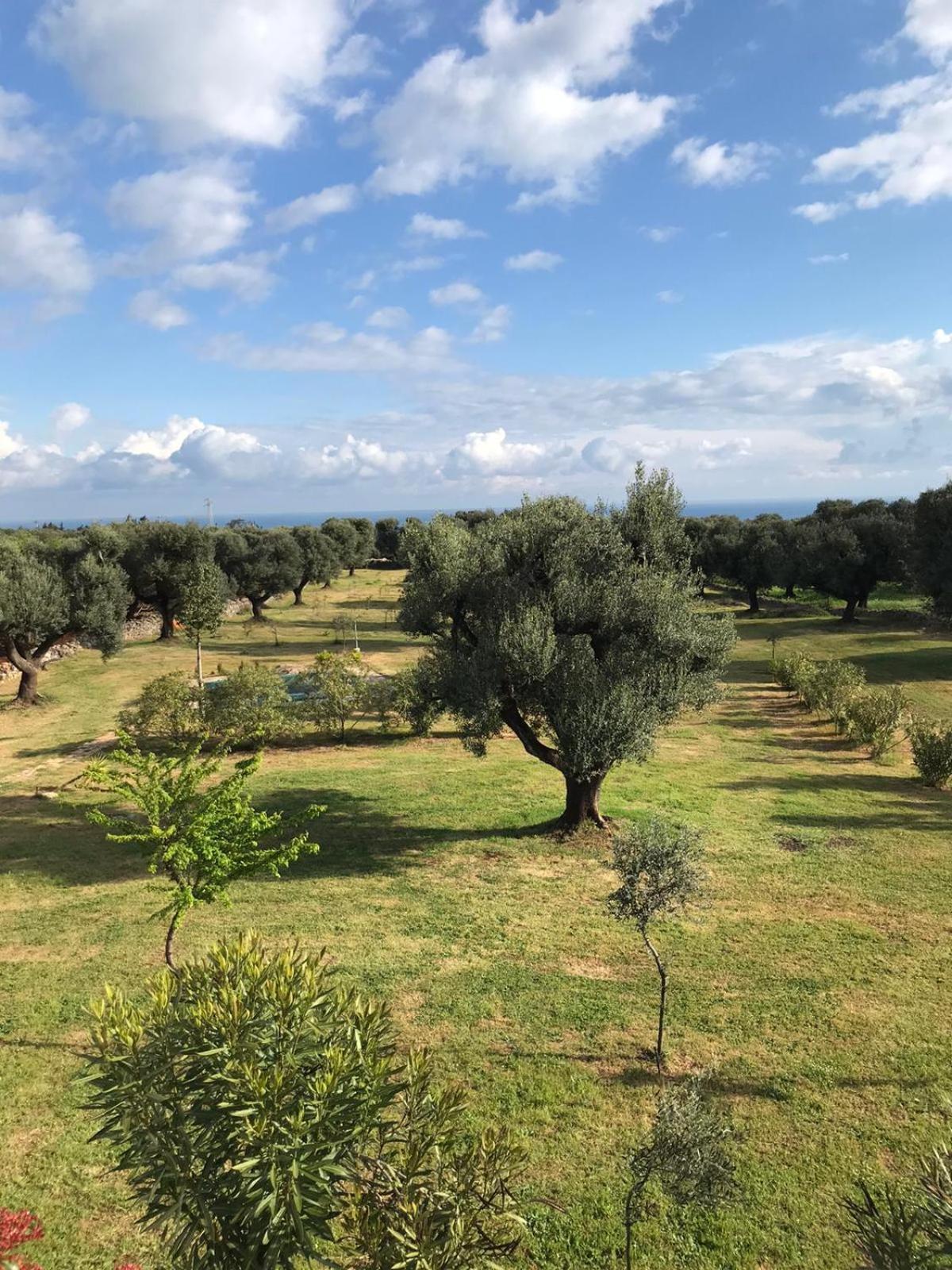 Villa Sol Invictus Est Serranova Exterior foto