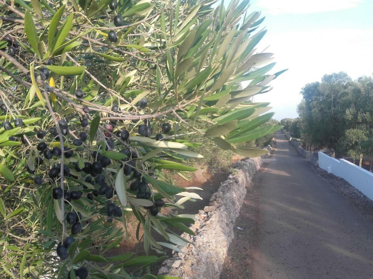 Villa Sol Invictus Est Serranova Exterior foto